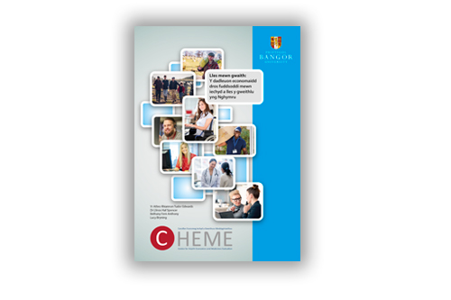CHEME Report-Infographics and layout