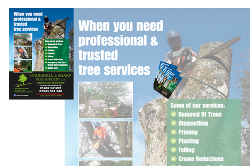 Posters and Leaflets