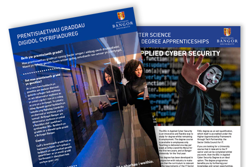 Apprenticeship leaflets for Bangor University